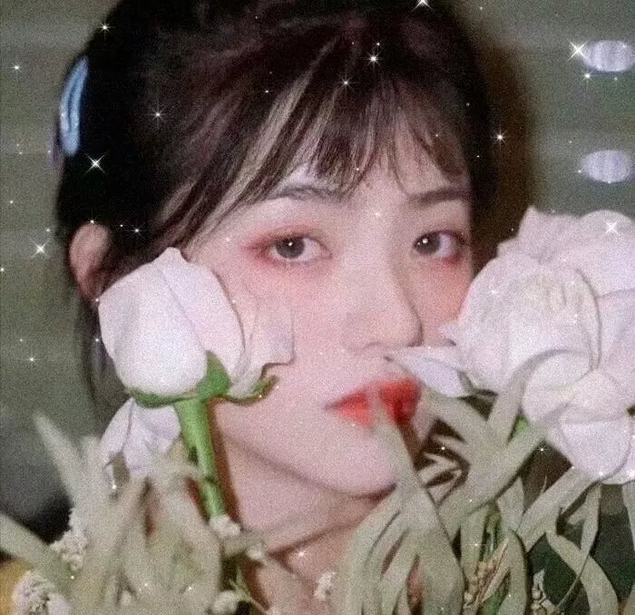 奇星记之鲜衣怒马少年时