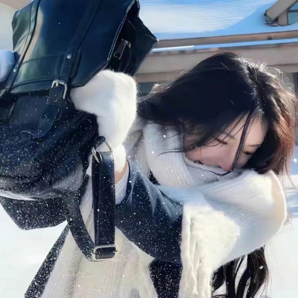 庇护棕榈树下